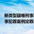 新类型疑难刑事犯罪案例定罪量刑点评（关于新类型疑难刑事犯罪案例定罪量刑点评简介）
