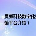 灵狐科技数字化整合营销平台（关于灵狐科技数字化整合营销平台介绍）