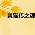 灵猫传之魂碎（关于灵猫传之魂碎介绍）