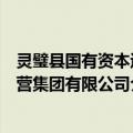 灵璧县国有资本运营集团有限公司（关于灵璧县国有资本运营集团有限公司介绍）
