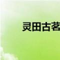 灵田古茗记（关于灵田古茗记介绍）
