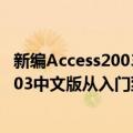 新编Access2003中文版从入门到精通（关于新编Access2003中文版从入门到精通简介）