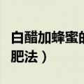 白醋加蜂蜜的减肥方法（什么是白醋加蜂蜜减肥法）