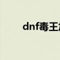 dnf毒王加点（以90级女毒王为例）