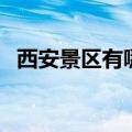 西安景区有哪些景点（西安景区景点推荐）