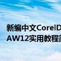 新编中文CorelDRAW12实用教程（关于新编中文CorelDRAW12实用教程简介）