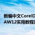 新编中文CorelDRAW12实用教程（关于新编中文CorelDRAW12实用教程简介）
