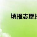 填报志愿技巧（怎么填报录取率更高）