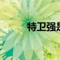 特卫强是什么材质（特卫强介绍）