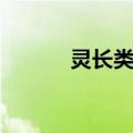 灵长类学（关于灵长类学介绍）