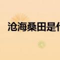 沧海桑田是什么意思啊（沧海桑田的含义）
