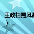 王政扫黑风暴原型（王政扫黑风暴原型是什么）