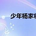 少年杨家将演员表（电视剧内容介绍）
