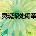 灵魂深处闹革命（关于灵魂深处闹革命介绍）