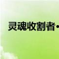 灵魂收割者·黛（关于灵魂收割者·黛介绍）
