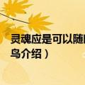 灵魂应是可以随时飞起的鸟（关于灵魂应是可以随时飞起的鸟介绍）