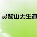 灵鹫山无生道场（关于灵鹫山无生道场介绍）