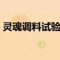 灵魂调料试验所（关于灵魂调料试验所介绍）