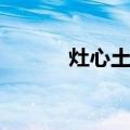 灶心土茶（关于灶心土茶介绍）