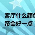 客厅什么颜色的窗帘比较好（客厅啥颜色的窗帘会好一点）