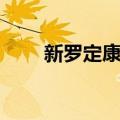 新罗定康王（关于新罗定康王简介）