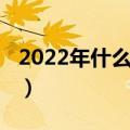 2022年什么生肖年什么命（2022年生肖是啥）