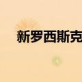 新罗西斯克港（关于新罗西斯克港简介）