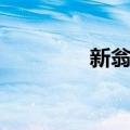 新翁村（关于新翁村简介）