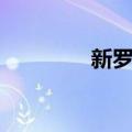 新罗人（关于新罗人简介）