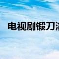 电视剧锻刀演员表（电视剧锻刀剧情介绍）