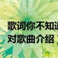 歌词你不知道该如何面对（你不知道该如何面对歌曲介绍）