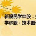 新股民学炒股：技术图谱分析与短线实战技法（关于新股民学炒股：技术图谱分析与短线实战技法简介）