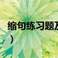 缩句练习题及答案（缩句练习题及答案这里有）
