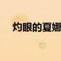 灼眼的夏娜Ⅱ（关于灼眼的夏娜Ⅱ介绍）