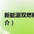 新能源双燃料汽车（关于新能源双燃料汽车简介）