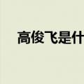 高俊飞是什么电视剧（讲述了什么故事）
