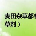 麦田杂草都有哪些（麦田杂草种类和用什么除草剂）