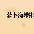 萝卜海带排骨汤（萝卜海带排骨汤做法）
