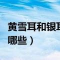 黄雪耳和银耳的区别（黄雪耳和银耳的区别有哪些）