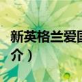 新英格兰爱国者队（关于新英格兰爱国者队简介）