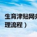 生育津贴网办详细步骤（生育津贴网上申请办理流程）