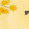 炉体（关于炉体介绍）