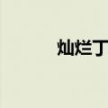 灿烂丁香（关于灿烂丁香介绍）