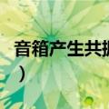 音箱产生共振怎么解决（音箱产生共振怎么办）