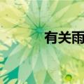 有关雨的文章（关于雨的文章）