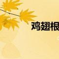 鸡翅根做法（烤鸡翅根的做法）