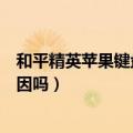 和平精英苹果键盘打不出中文（打不出中文你知道是什么原因吗）