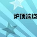 炉顶端烧嘴（关于炉顶端烧嘴介绍）