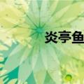 炎亭鱼饼（关于炎亭鱼饼介绍）