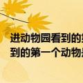 进动物园看到的第一个动物是什么（脑筋急转弯进动物园看到的第一个动物是什么）